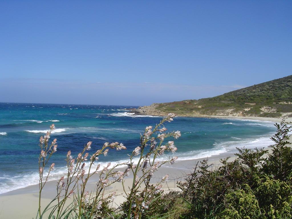 LʼÎle-Rousse Residence Roc E Mare מראה חיצוני תמונה